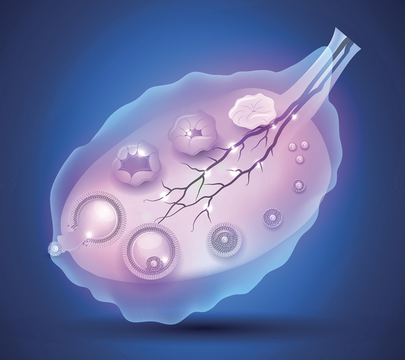 桂平市人民医院做试管婴儿具体收费多少？5万元起是真的吗？